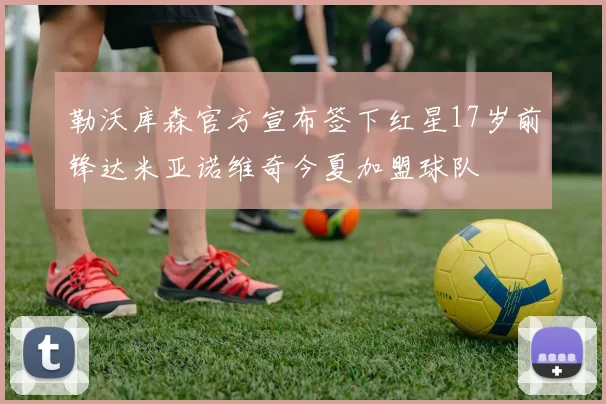 勒沃库森官方宣布签下红星17岁前锋达米亚诺维奇今夏加盟球队