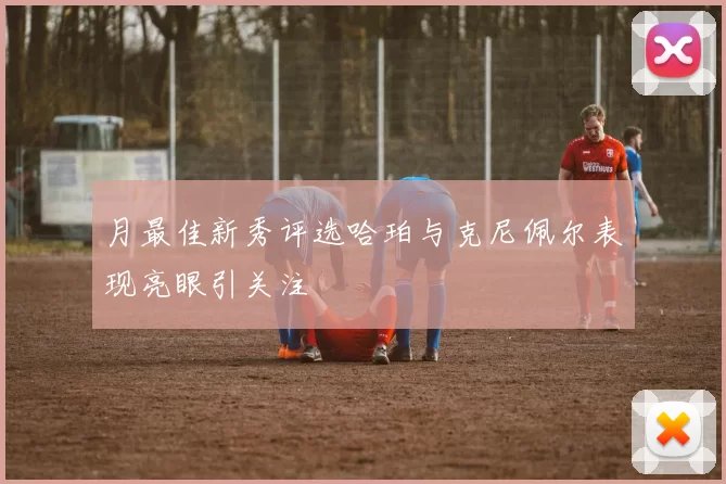 月最佳新秀评选哈珀与克尼佩尔表现亮眼引关注